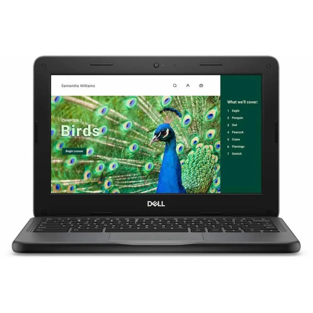 Dell Chromebook 3120 11.6" Clamshell Chromebook - HD - Intel N-Series N100 - 8 GB - 64 GB Flash Memory - Gray - ChromeOS - Intel UHD Graphics - Webcam - IEEE 802.11ax Wireless LAN Standard NRD5N