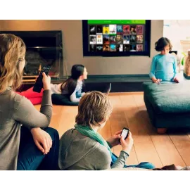 SiliconDust HDHomeRun Flex 4K ATSC 3.0 NextGen TV: 2/4 Tuners HDFX-4K