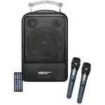 HamiltonBuhl High Quality PA System - DVD/CD/MP3 Bluetooth and Wireless Handheld Microphones