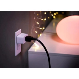 Philips Hue 552349 Smart Plug